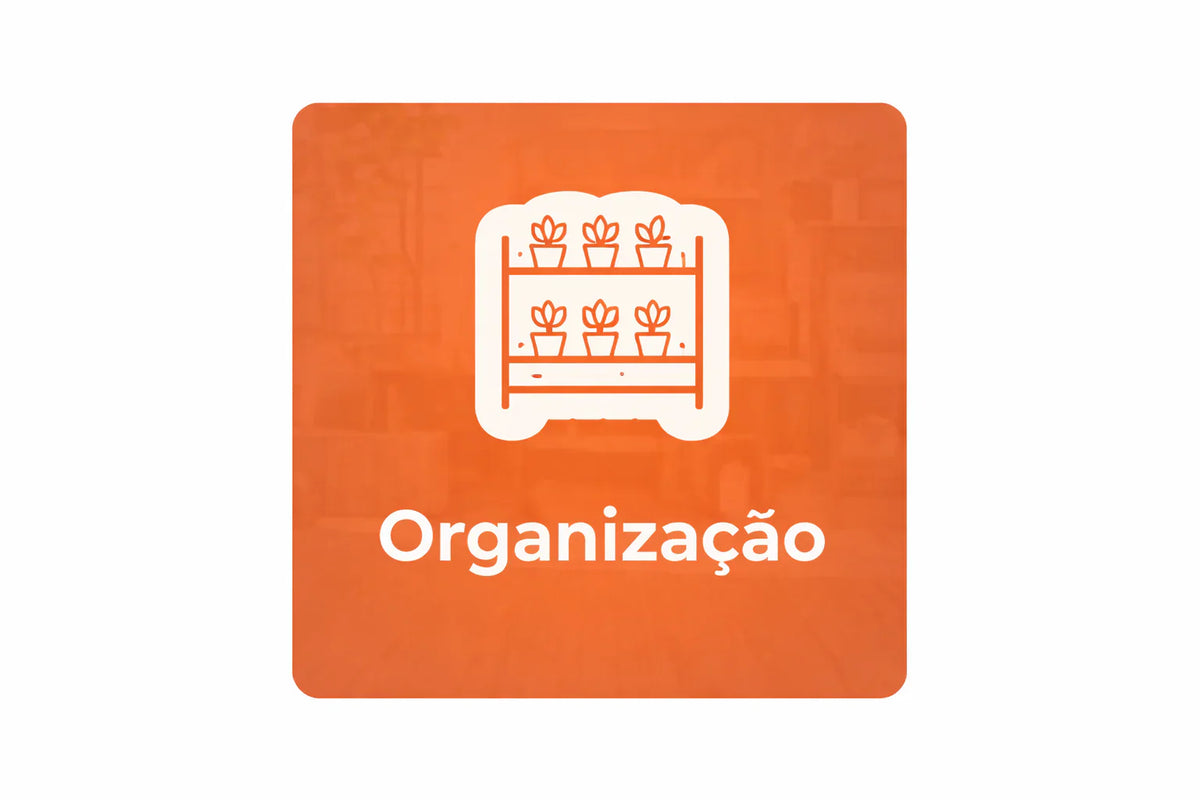 Organização